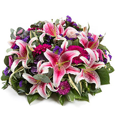 Lilly Posy Pad