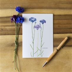 Cornflower Greeting Card