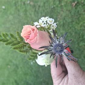 fwthumb20240920_102031.jpg