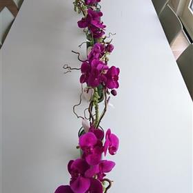 fwthumbDSC_0135.jpg